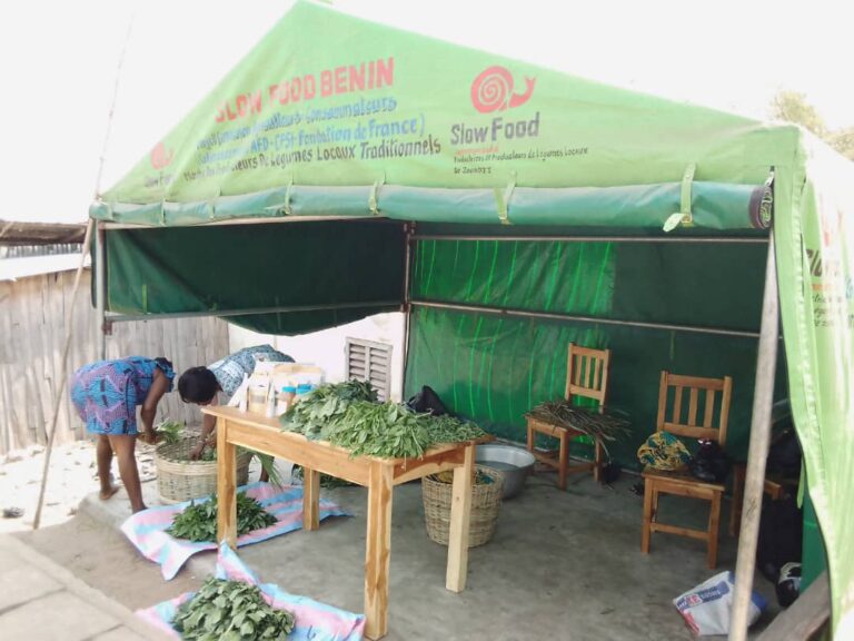 Competences Solidaires - Biodiversité vente légumes traditionnels